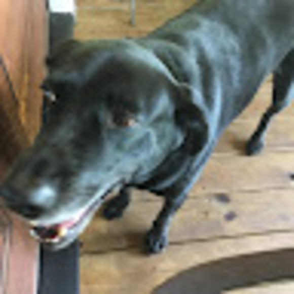 Profile Picture of J j Smith (@wasspman) on Poshmark