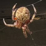 Profile Picture of Mark Linsmaier (@mark.linsmaier) on Facebook