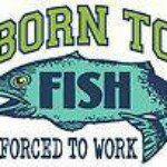 Profile Picture of Danny Whalen (@dodgydan56) on Instagram