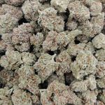 Profile Picture of Josh Ferrarini (@dabsaretasty) on Instagram