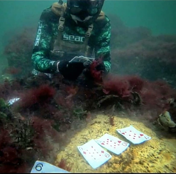 Profile Picture of Colin Benitt (@benithejet11) on Poshmark