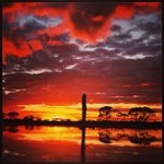 Profile Picture of Tammy Parsley (@ringenutum) on Instagram