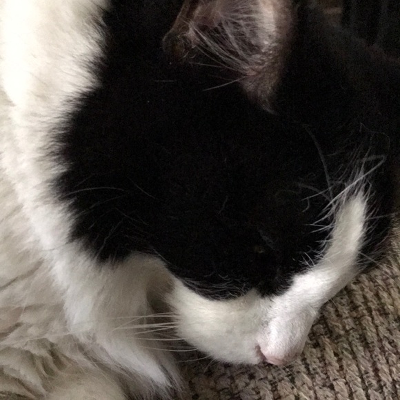 Profile Picture of Wendy Fimbres (@freddie7137) on Poshmark