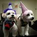Profile Picture of Hoon Ko (@hoon.ko.549) on Facebook