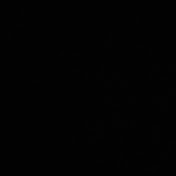 Profile Picture of Craig Grant (@craiggrant3379) on Youtube
