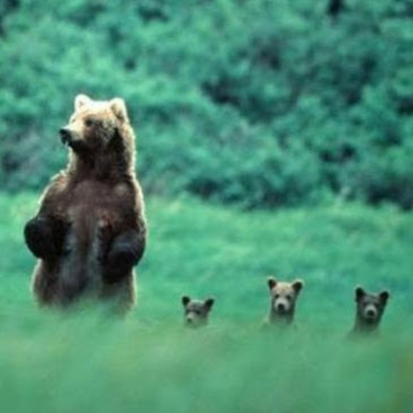 Profile Picture of Suzanne Scott (@suzannescott770) on Poshmark