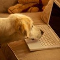 Profile Picture of Stella Simpson (@stella-simpson-2) on Quora