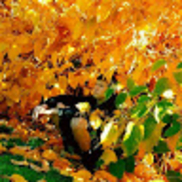 Profile Picture of Dustin Hyatt (@dustingoat24) on Poshmark