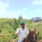 David Giler - Facebook Profile Picture of David Giler (@David-Giler) on Facebook