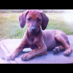 Profile Picture of gabelmann (@gabelmann) on Instagram