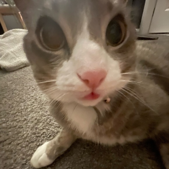 Tam Lee - Poshmark Profile Picture of Tam Lee (@t4m5yn) on Poshmark