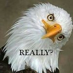 Profile Picture of Edgar Leo Townsend Jr (@townsendedgar) on Instagram