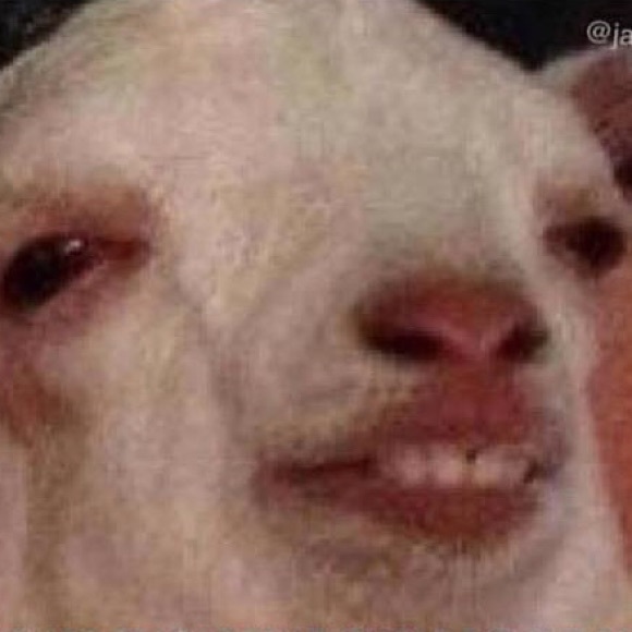 Profile Picture of Leonardo Serrano (@bigdickmagea) on Poshmark