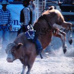 Profile Picture of Joseph Manton (@joey_manton) on Instagram