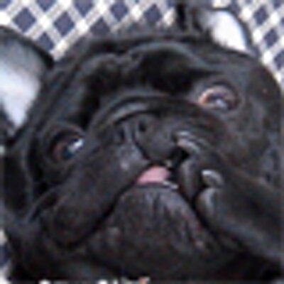 Profile Picture of Jesse Stephens (@jessestephens) on Twitter