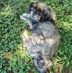 Profile Picture of Donna Yoe Holtzclaw (@donna.y.holtzclaw) on Facebook