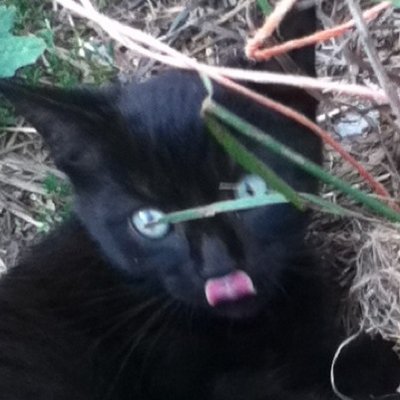 Profile Picture of Seth Farber (@FarberSeth) on Twitter