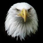 Profile Picture of Tim Colquhoun (@td.colquhoun) on Instagram