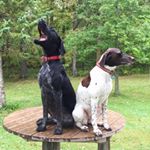 Mike Schuster - Instagram Profile Picture of Mike Schuster (@schuster1951) on Instagram