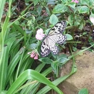 Profile Picture of Joan Callander (@joan.callander.9) on Facebook