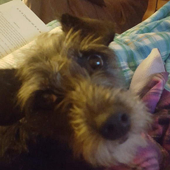 Profile Picture of Lynn Michienzi (@lmich06) on Poshmark