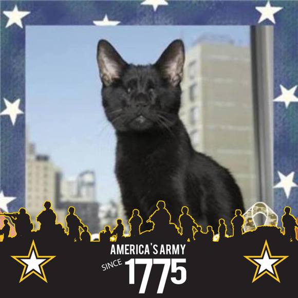 Profile Picture of Kimberly Munsey (@sisterbear50) on Poshmark