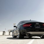 Profile Picture of Conrad Kennedy (@conradkennedy8) on Instagram