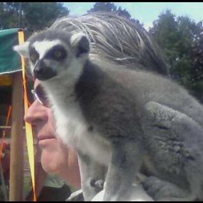 Profile Picture of Kim Mattioli (@tazeatsu27) on Twitter