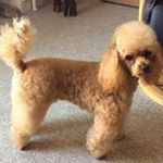 Profile Picture of Rita Rasmussen (@ritarasmussen) on Instagram