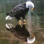 Profile Picture of Kevin Mavisi Soita (@kevin.soita) on Instagram