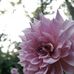 Profile Picture of Heather VassillionPhotography (@hvassillion) on Facebook