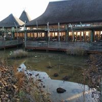 Profile Picture of Juanito Castillo (@juanito-castillo-1) on Quora