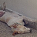 Profile Picture of Federico Pablo Rodriguez (@fepablo) on Flickr