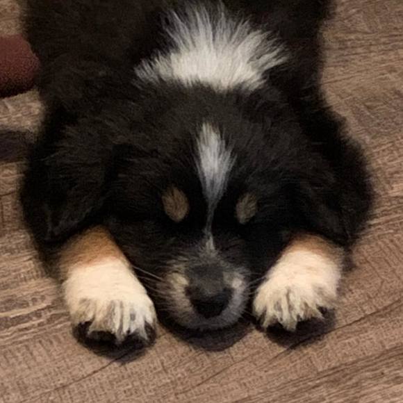 Profile Picture of Jonathon Cronon (@jrcronon) on Poshmark