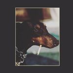 Profile Picture of René Salgado Perz (@renesalgadoperz) on Instagram