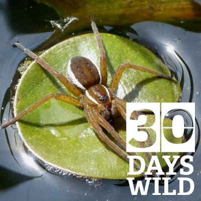 Profile Picture of Helen Smith (@WaveneyCott) on Twitter