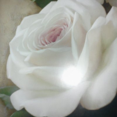 Profile Picture of Julio Astudillo (@julioastudillo1) on Twitter