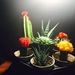 Profile Picture of Daniel Quách (@danielquch) on Pinterest