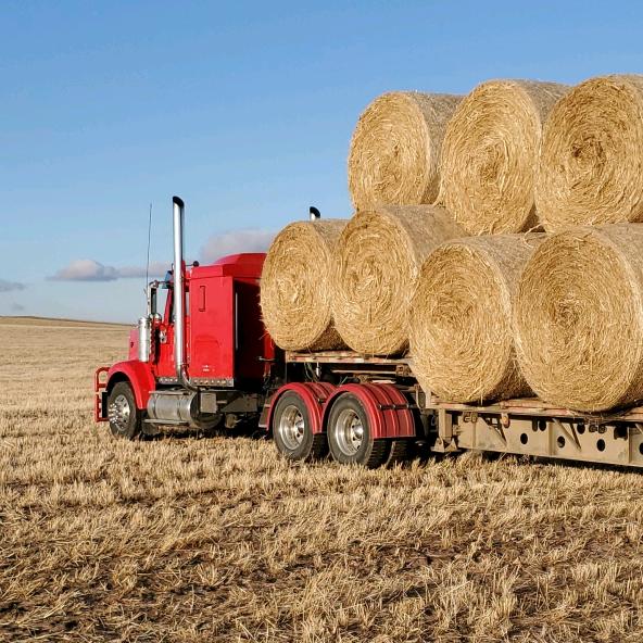 Profile Picture of Derek Unkel (@user8604757705593) on Tiktok