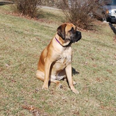 Jonathan Pauley - Twitter Profile Picture of Jonathan Pauley (@jpauley1980) on Twitter