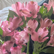 Profile Picture of Hailey Quinn (@haileyquinn2822) on Youtube