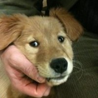 Profile Picture of Sergey Krayniy (@sergey-krayniy) on Quora