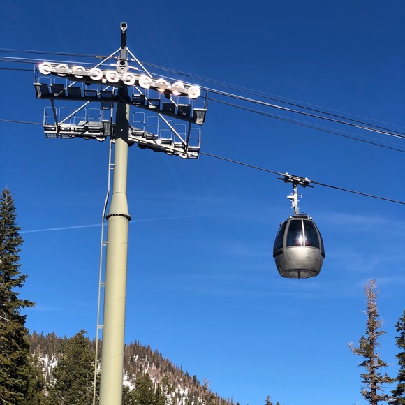 Profile Picture of Bubba Bear (@hubbabubba2020) on Poshmark