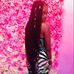 Profile Picture of Tiara Sims (@tiara.sims) on Facebook