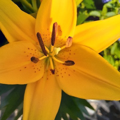 Profile Picture of Cheryl Hython Photography (@CherylHython) on Twitter