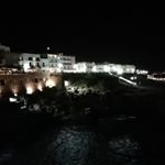 Profile Picture of Alessandro Giuliani (@ale0808) on Instagram