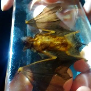 Profile Picture of Chase Mayer (@chase.mayer.77) on Facebook