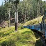 Pahan Wjesinhe - Facebook Profile Picture of Pahan Wjesinhe (@pahan.wjesinhe) on Facebook