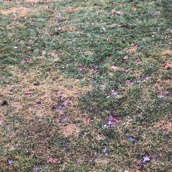 Profile Picture of Libby Ritzert (@libby_ritzert) on Poshmark