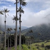 Profile Picture of Miranda Fischer (@mirandafischer3785) on Youtube